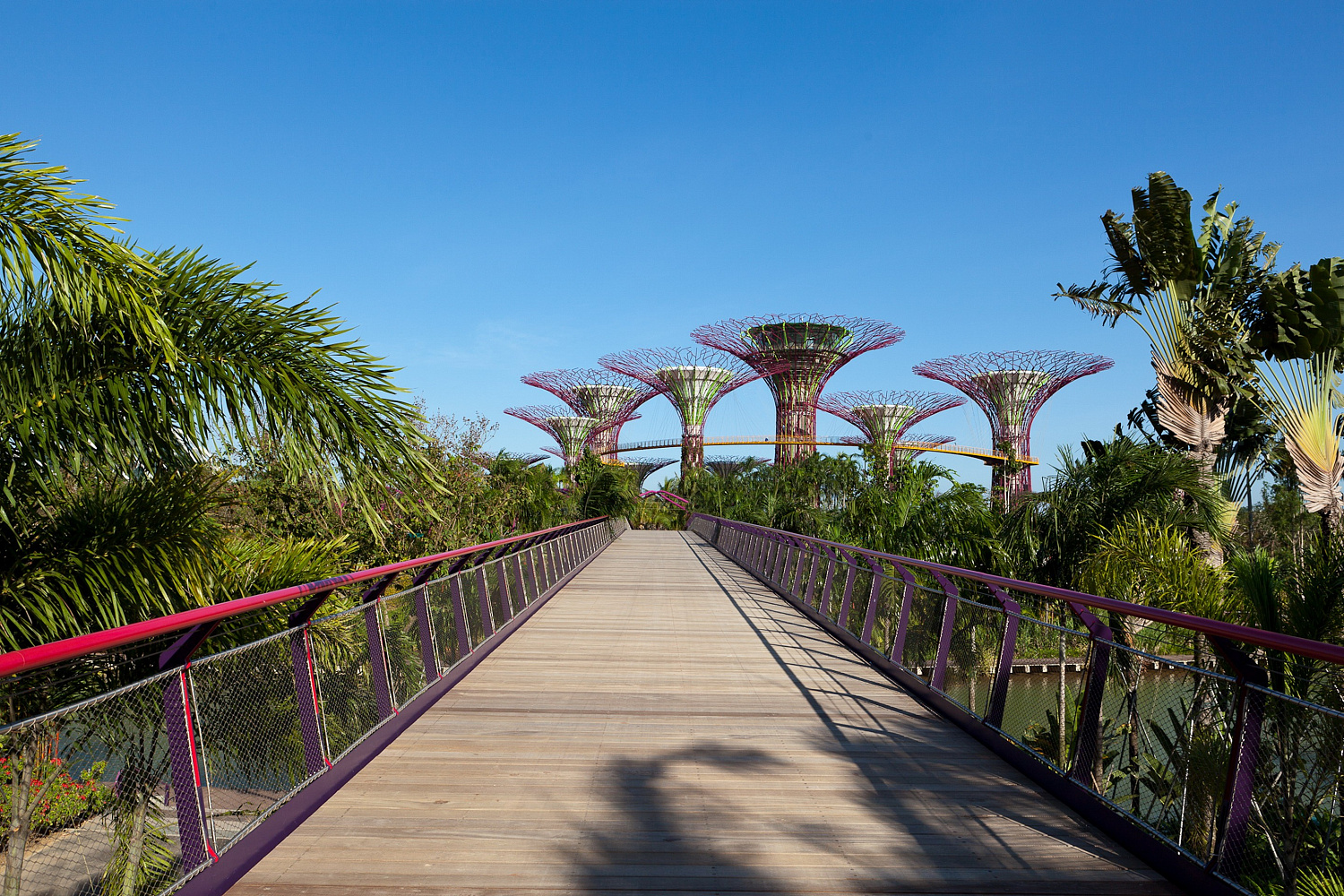 Gardens by the Bay: футуристический сад в Сингапуре, где природа встретилась с технологиями