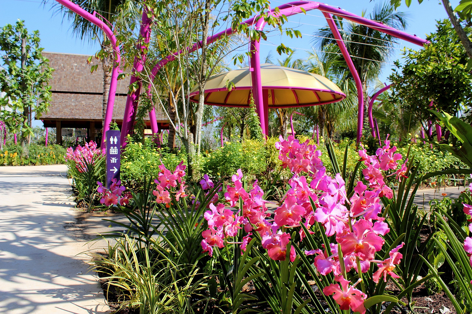 Gardens by the Bay: футуристический сад в Сингапуре, где природа встретилась с технологиями