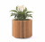 Вазон уличный Крокус/Crocus