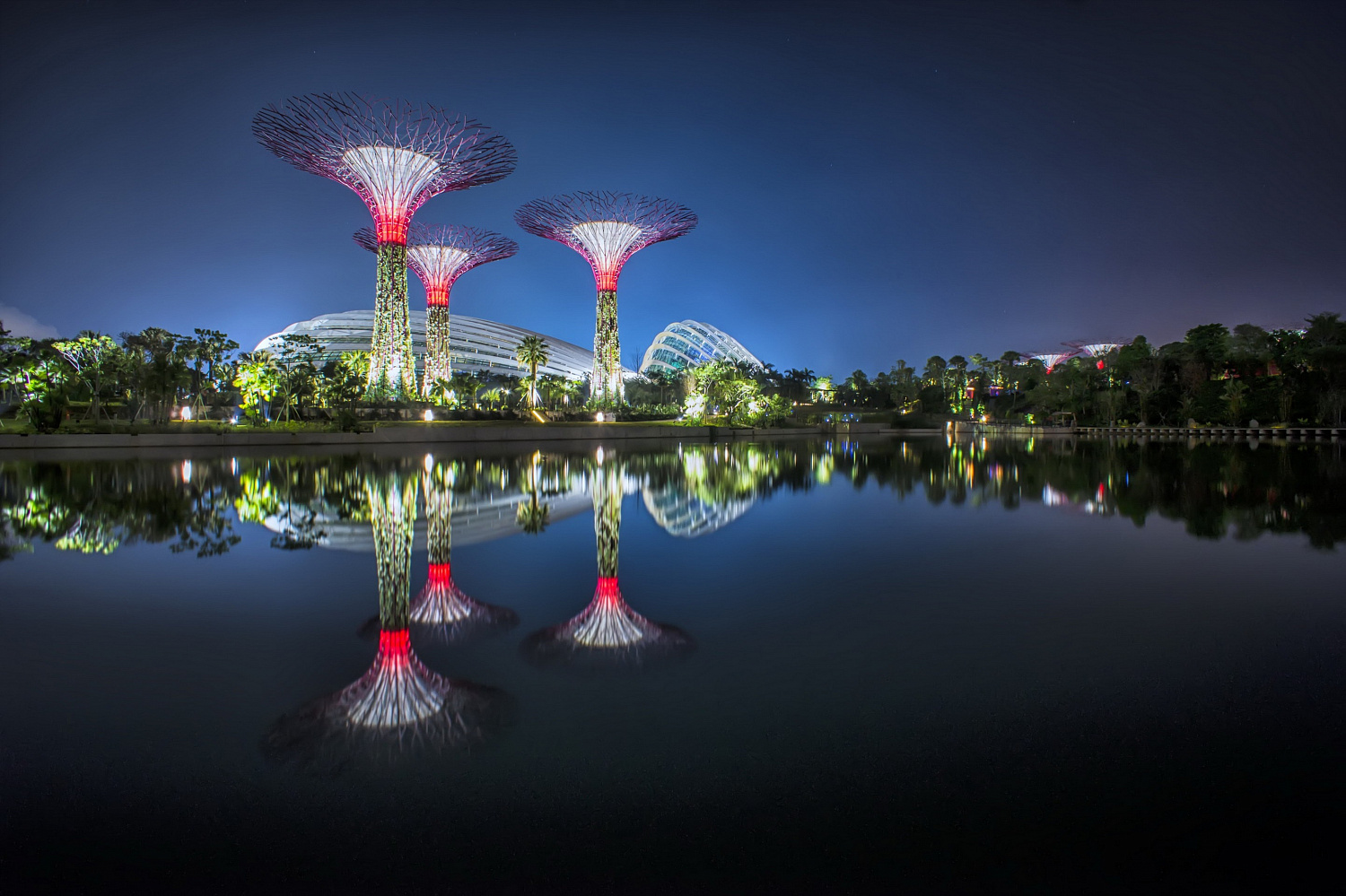 Gardens by the Bay: футуристический сад в Сингапуре, где природа встретилась с технологиями