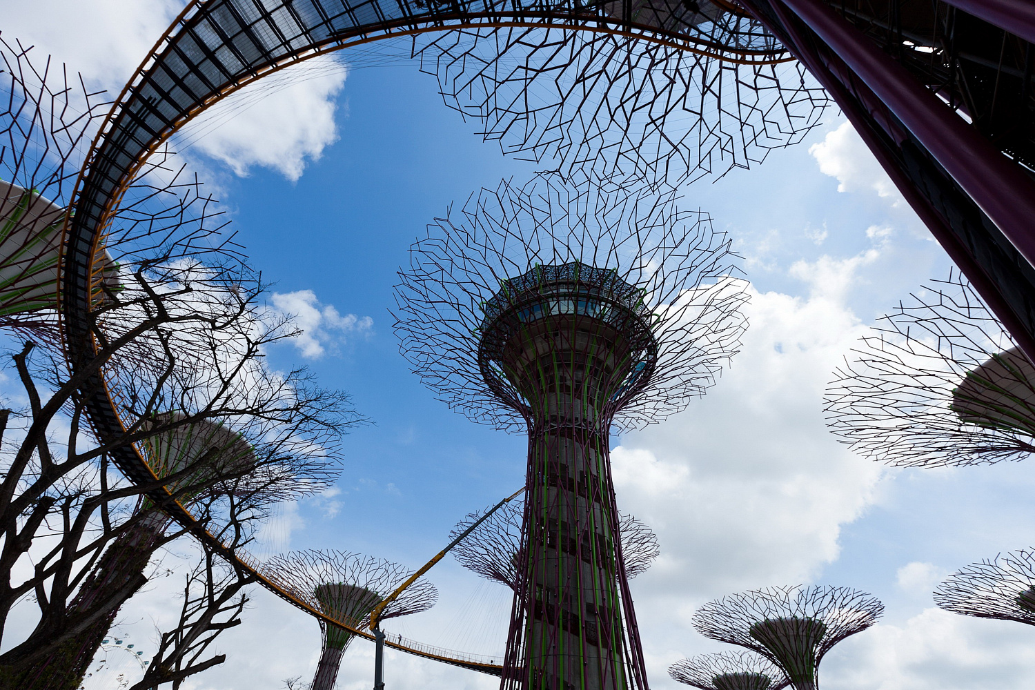 Gardens by the Bay: футуристический сад в Сингапуре, где природа встретилась с технологиями