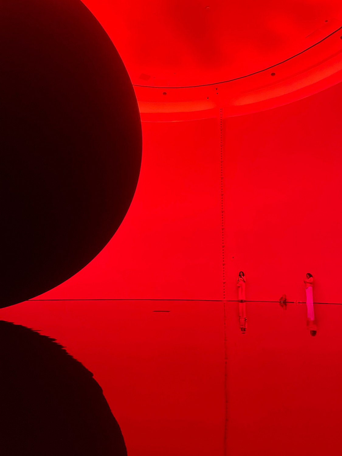 На острове Саадият в Абу-Даби открылась иммерсивная галерея TeamLab Phenomena