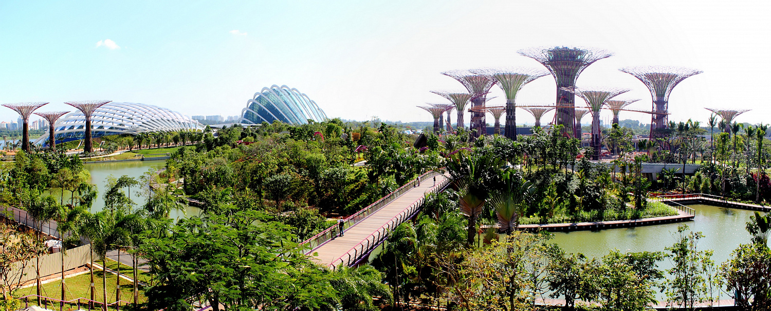 Gardens by the Bay: футуристический сад в Сингапуре, где природа встретилась с технологиями