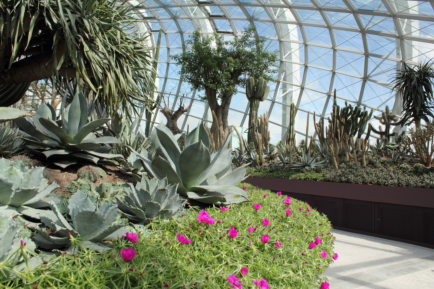 Gardens by the Bay: футуристический сад в Сингапуре, где природа встретилась с технологиями