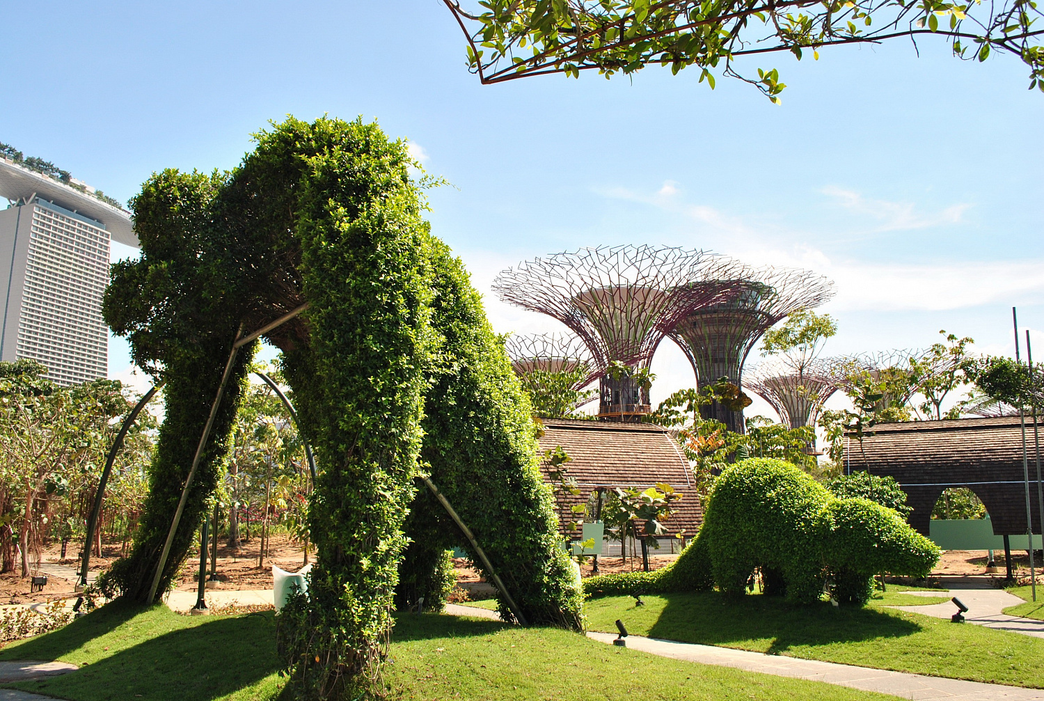 Gardens by the Bay: футуристический сад в Сингапуре, где природа встретилась с технологиями