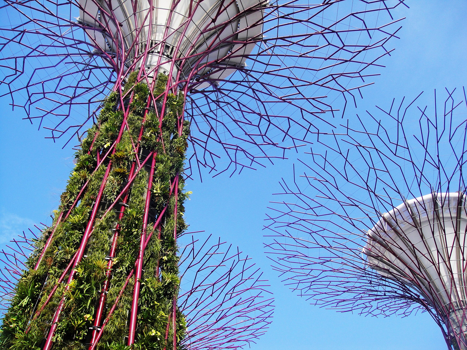 Gardens by the Bay: футуристический сад в Сингапуре, где природа встретилась с технологиями