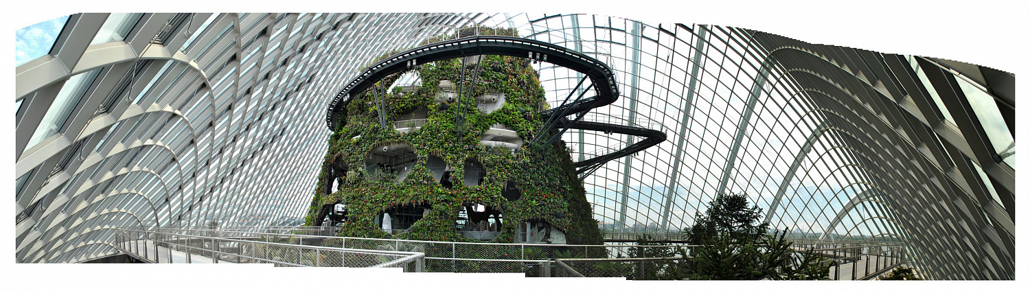 Gardens by the Bay: футуристический сад в Сингапуре, где природа встретилась с технологиями